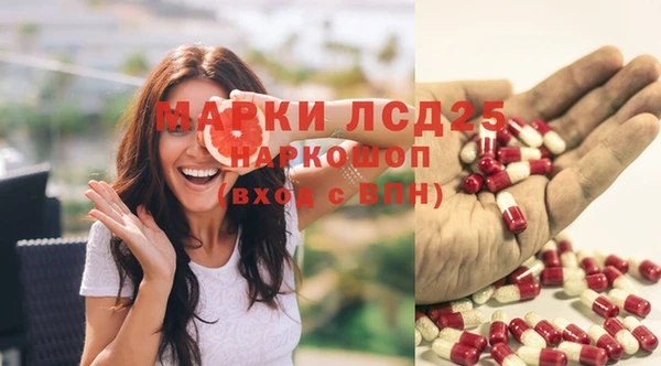 мдпв Няндома