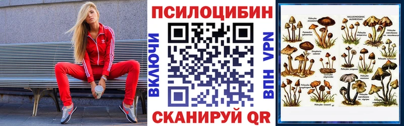 Галлюциногенные грибы мухоморы  Купить где  Берёзовка 